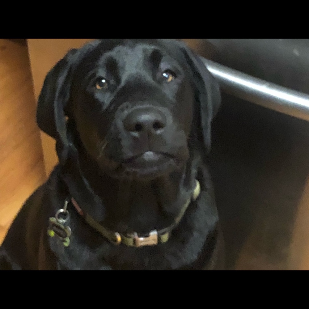 Meet your Posher, Beverly
